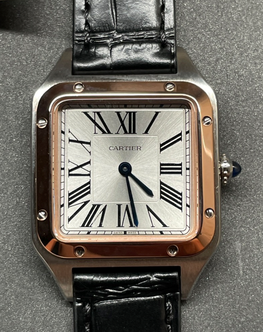 CARTIER SANTOS DISCOVERY F1