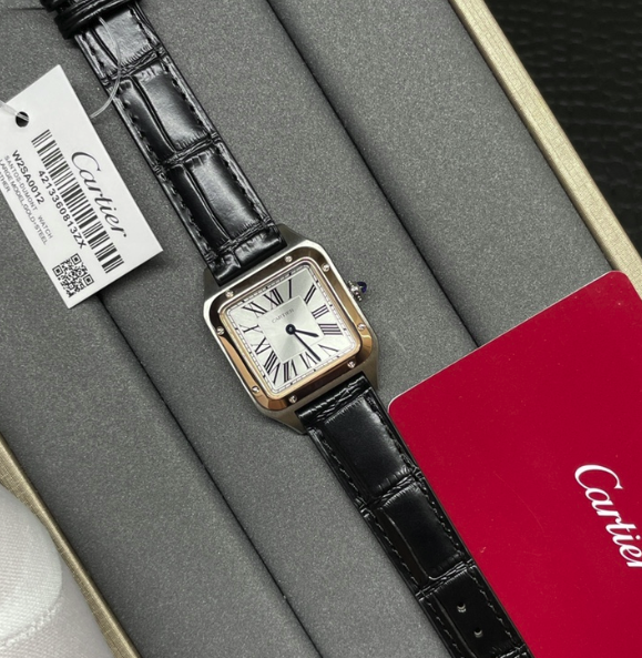CARTIER SANTOS DISCOVERY F1
