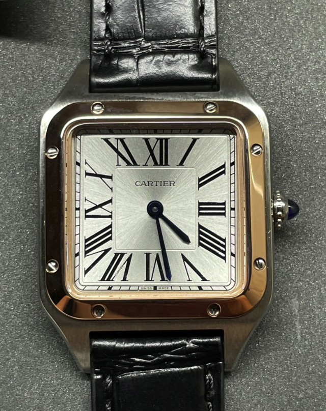 CARTIER SANTOS DISCOVERY F1
