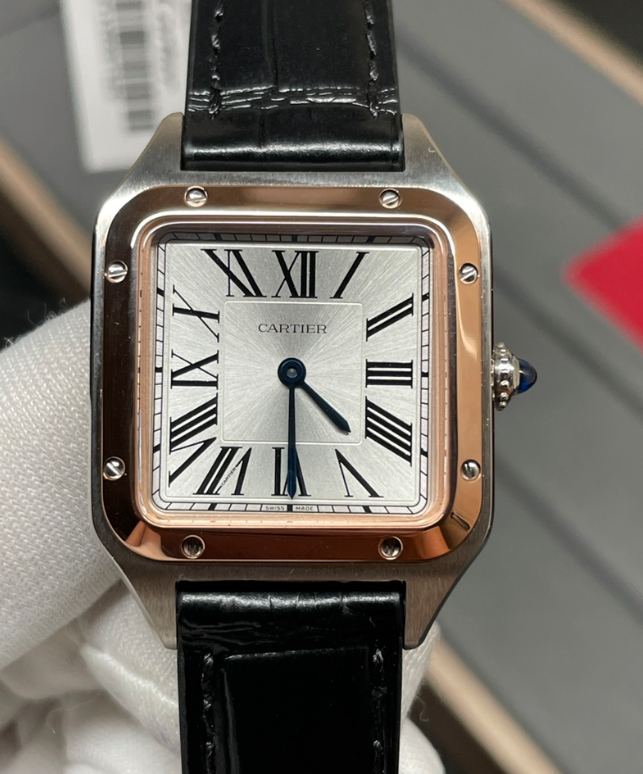 CARTIER SANTOS DISCOVERY F1