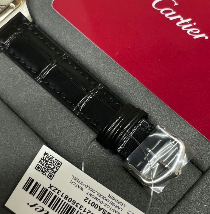 CARTIER SANTOS DISCOVERY F1